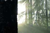 Рецензия на Burzum - Belus (2010) Рецензия на Burzum - Belus (2010)